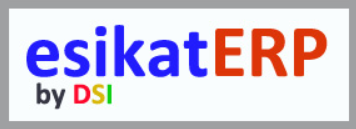 esikatERP logo with text 'esikatERP by DSi'